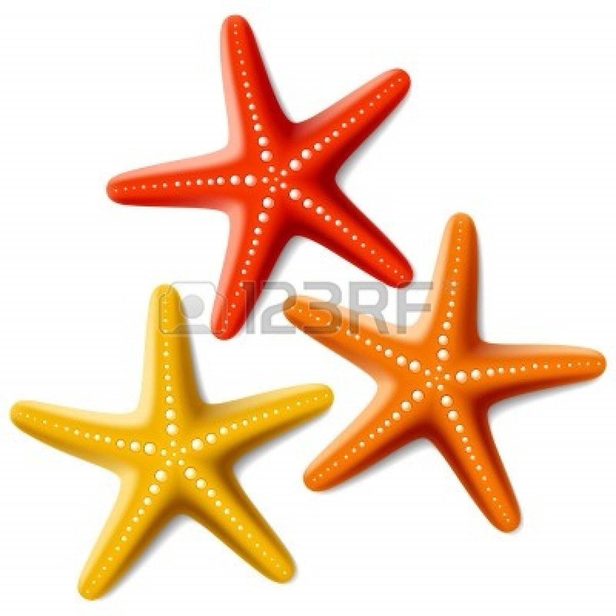 1200x1200 Clip Art Starfish Clip Art