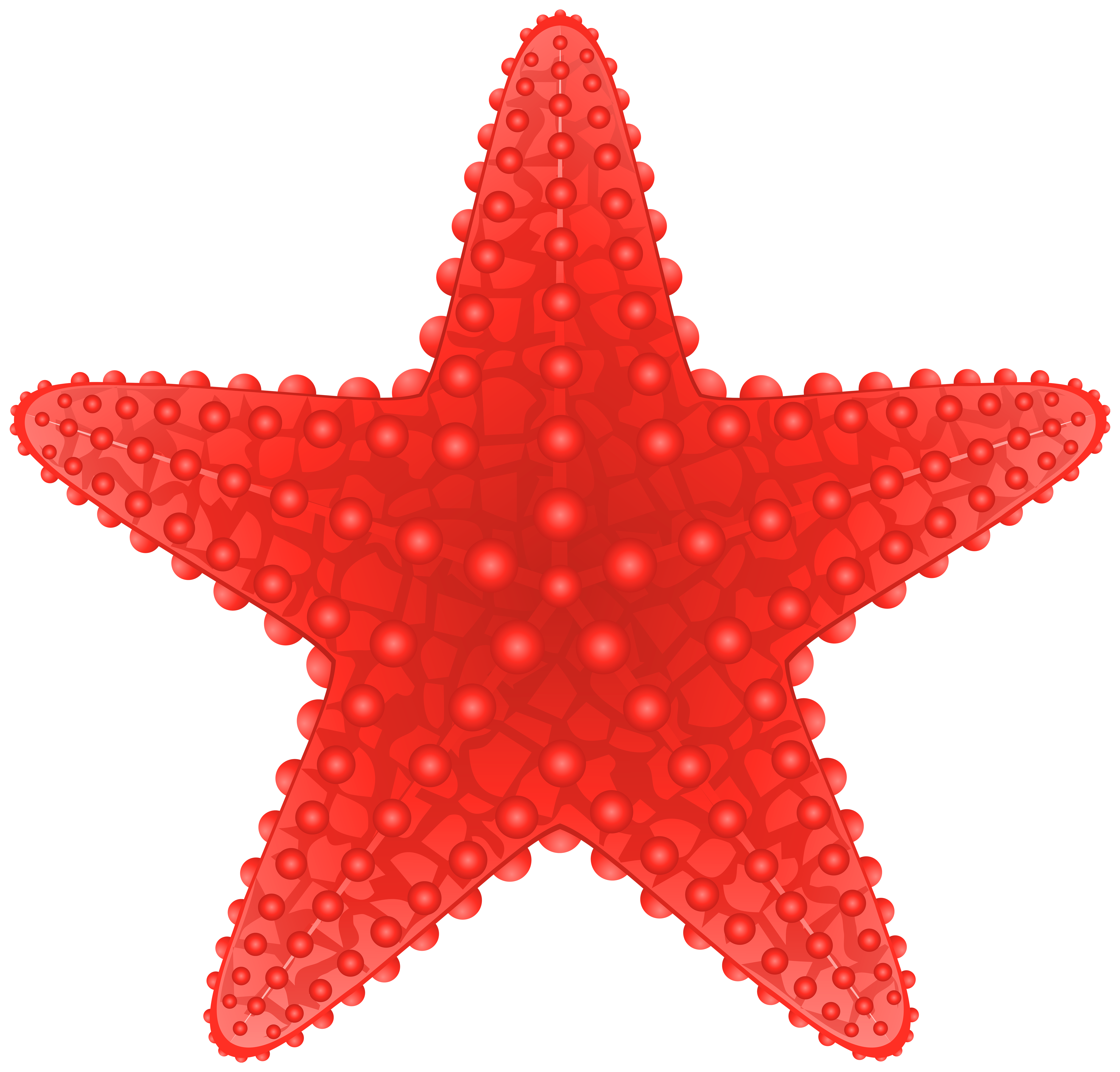 6000x5741 Starfish Transparent Png Clip Art Imageu200b Gallery Yopriceville
