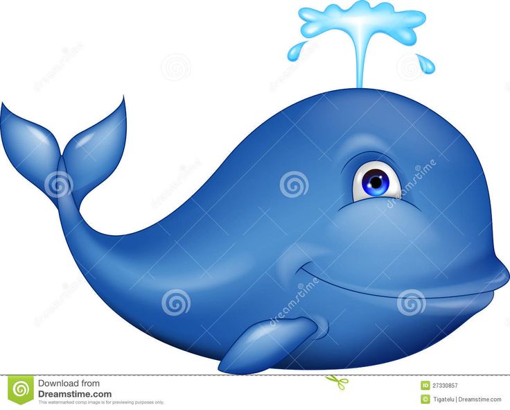 Blue Whale Clipart