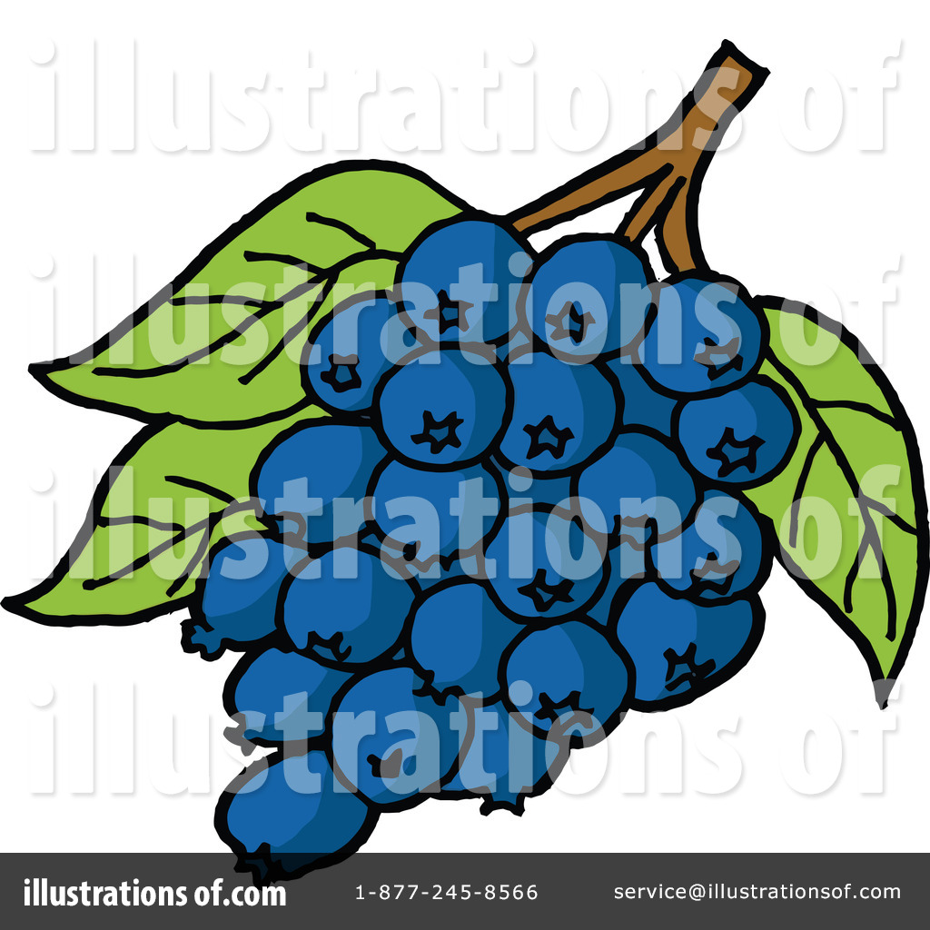 1024x1024 Blueberries Clipart