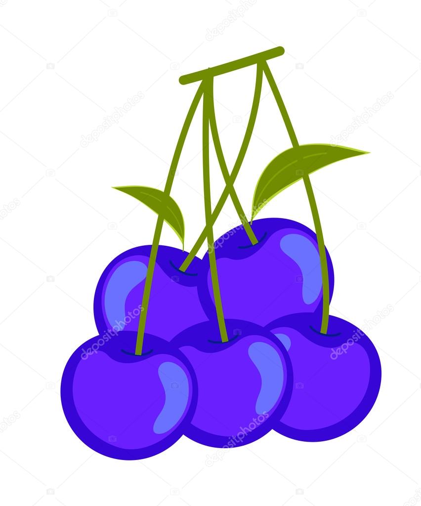 852x1023 Blueberries Vector Clipart Stock Vector Baavli