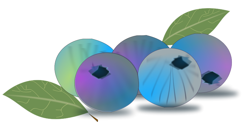 800x400 Blueberry Clip Art Download