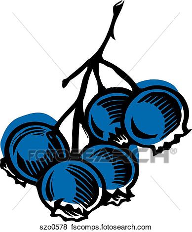 389x470 Stock Illustration Of Bunch Of Blueberries Illustrated On