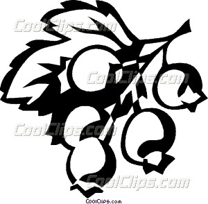 300x294 Blueberries Vector Clip Art