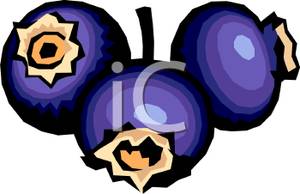 300x194 Blueberry Clip Art 18 300x194 Clipart Panda