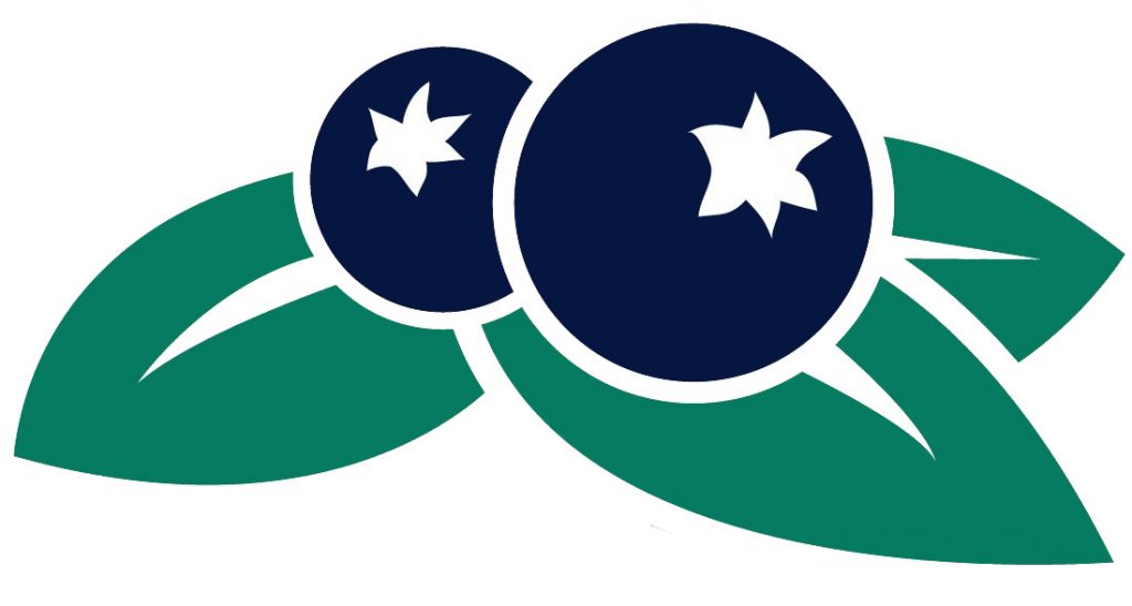 1024x548 Blueberry Clipart