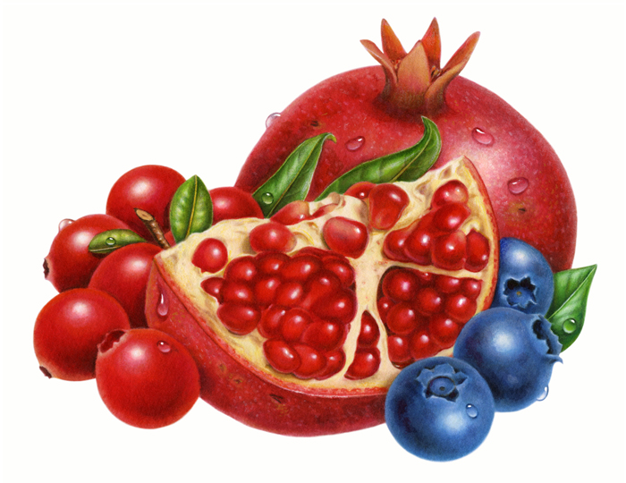 700x540 Pomegranate Blueberry Cranberry Clip Art Big 700x540 Fruit