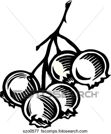 389x470 Stock Illustration Of A Bunch Of Black And White Blueberries