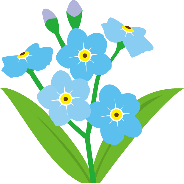 617x614 Forget Me Not Clipart