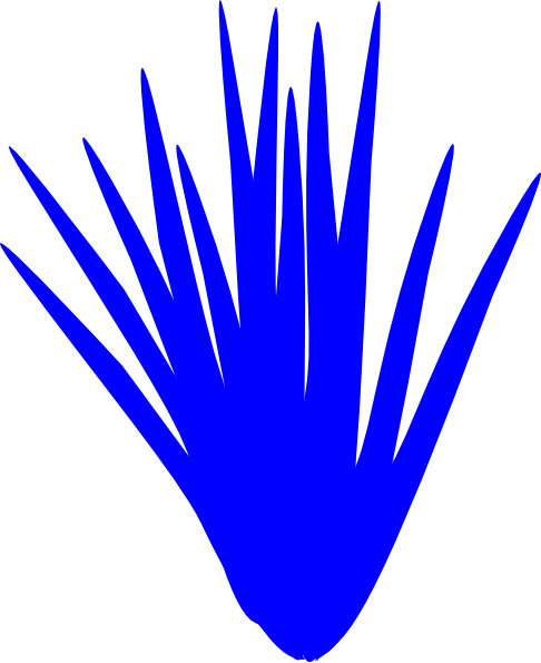 486x595 Bluegrass Logo Clipart