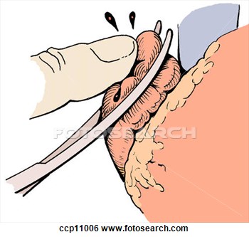 350x333 Blunt Clipart