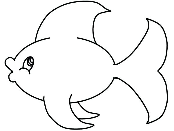 600x450 Outline Fish