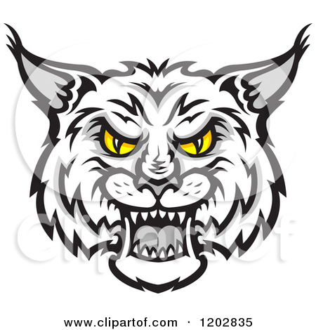 450x470 Bobcat Clipart Eyes