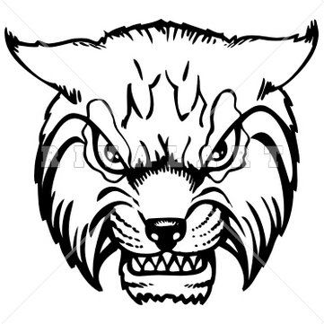 361x361 Bobcat Clipart Head