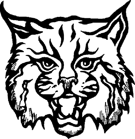 437x450 Bobcat Clipart Mascot