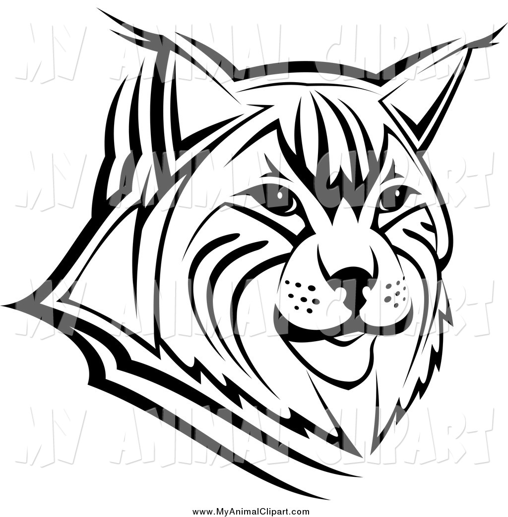 1024x1044 Clip Art Of A Black And White Bobcat Face By Vector Tradition Sm