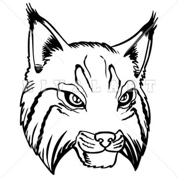 361x361 Bobcat Clip Art