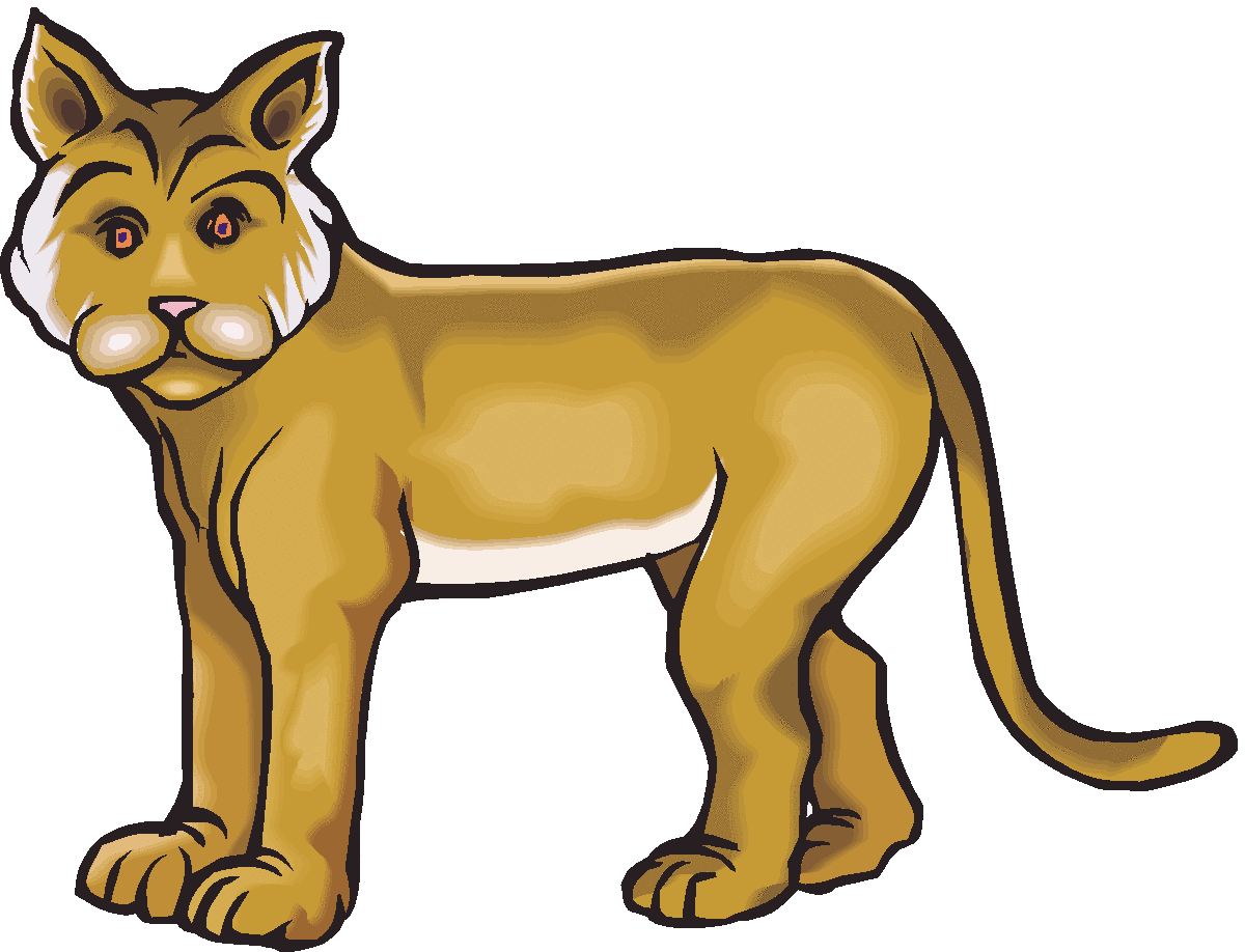 1200x918 Bobcat Clipart