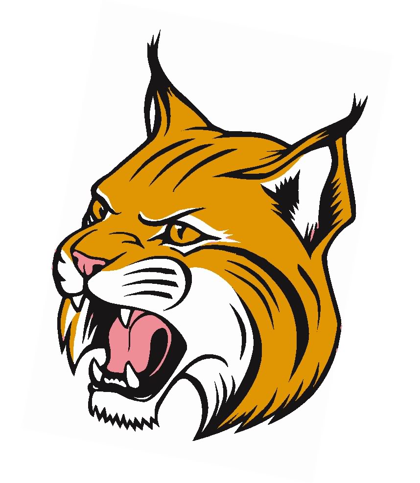 858x987 Bobcat Clipart