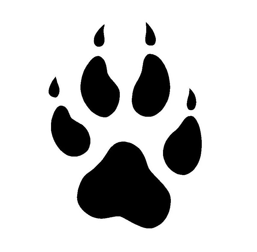 856x842 Bobcat Clipart Wolf Paw