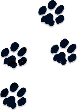 268x380 Bobcat Footprint Clipart Downloads