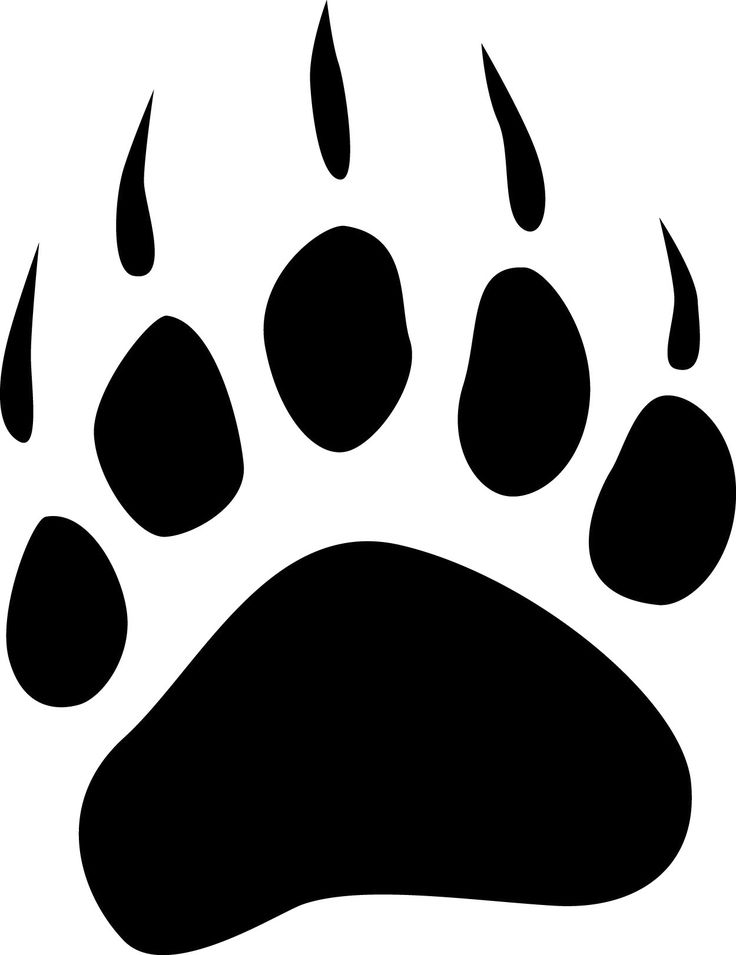 736x955 Image Of Paw Print Collection