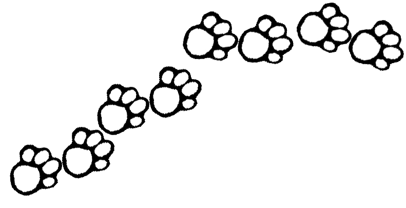 791x405 Paw Print Paw Border Clipart 3