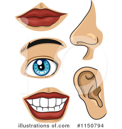 400x420 Top 81 Body Clip Art