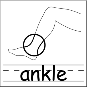 304x304 Clip Art Parts Of The Body Ankle Bampw I Abcteach