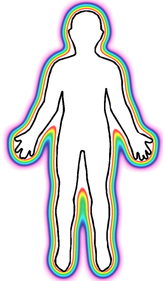 550x950 Human Body Diagram Clipart