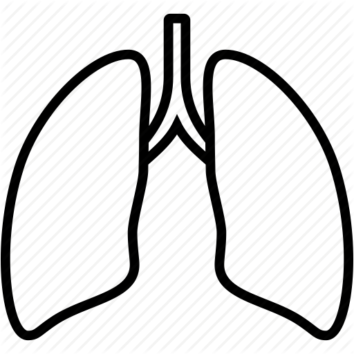 512x512 Clipart Outline Of Lungs