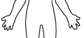 272x125 Human Body Outline Free Sample, Example, Format Download
