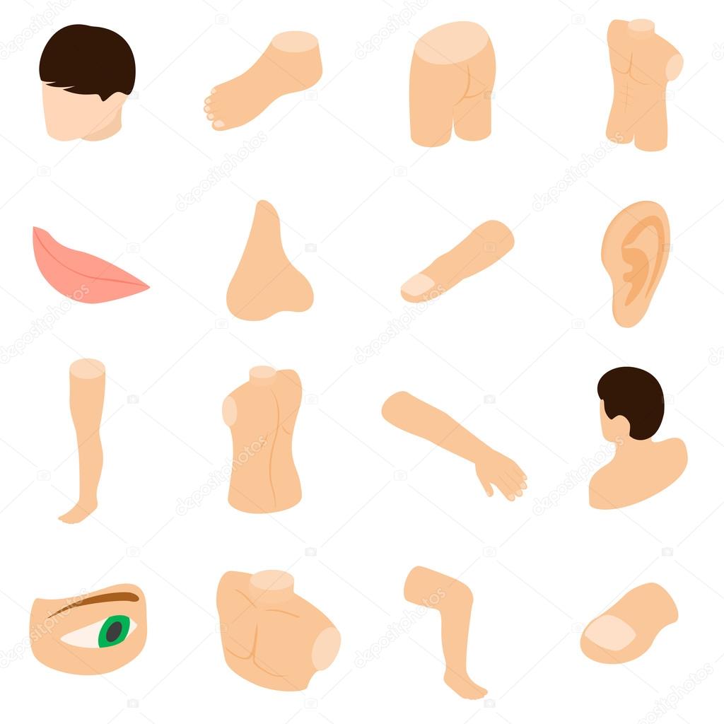 1024x1024 Body Parts Icons Set, Isometric 3d Style Stock Vector