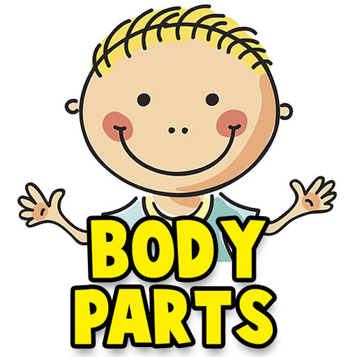 512x512 Learn Human Body Parts For Babies By Smit Mankad