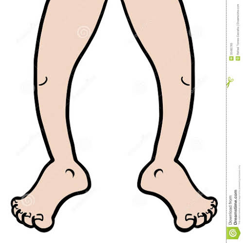 500x499 Legs Clipart Body Part