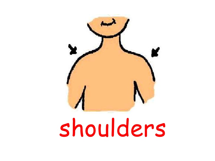 Колено на английском. Shoulders Flashcard. Shoulders картинка для детей. Плечо карточка. Плечо на английском.