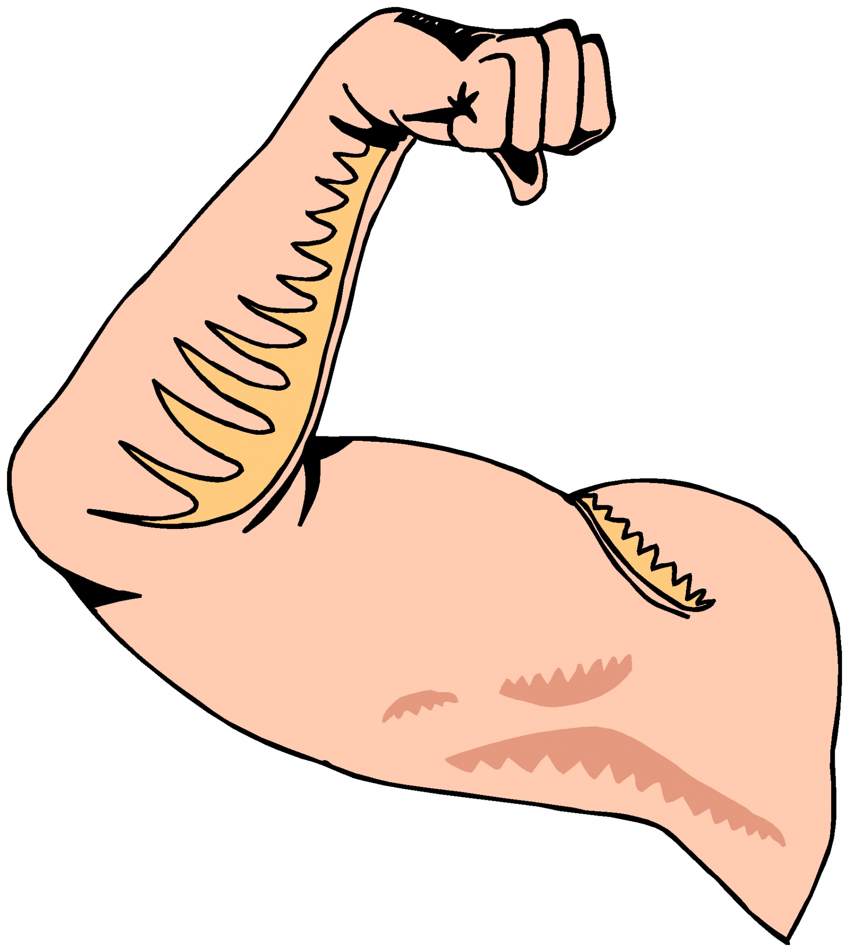 1713x1920 Body Parts 9 Free Stock Photo