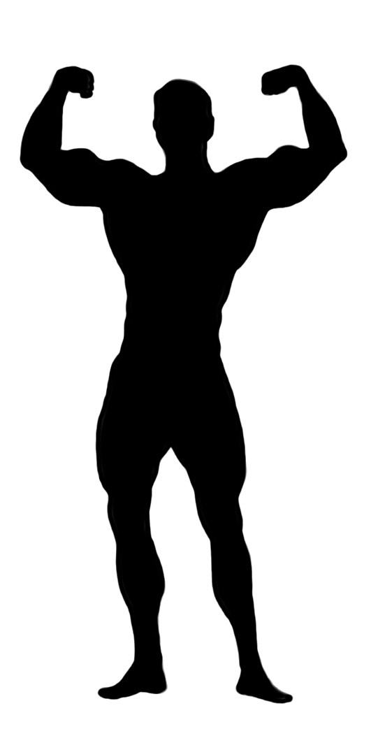 531x1043 Bodybuilding Silhouette Clip Art Clipart