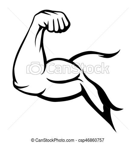 450x470 Muscle Clip Art Archives