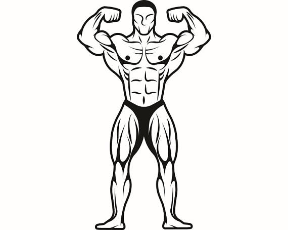 Bodybuilder Clipart | Free download on ClipArtMag