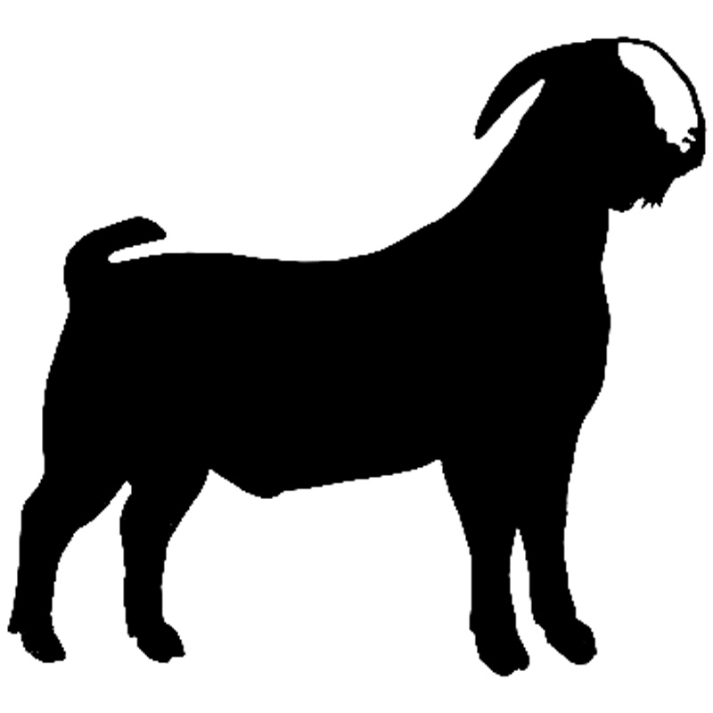 800x800 Goat Clipart Chiva