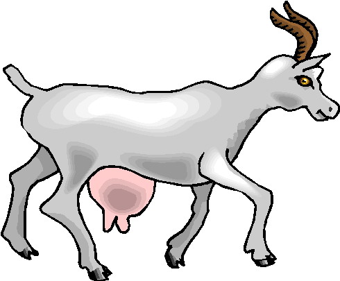 490x405 Boer Goat Clip Art 5 Image