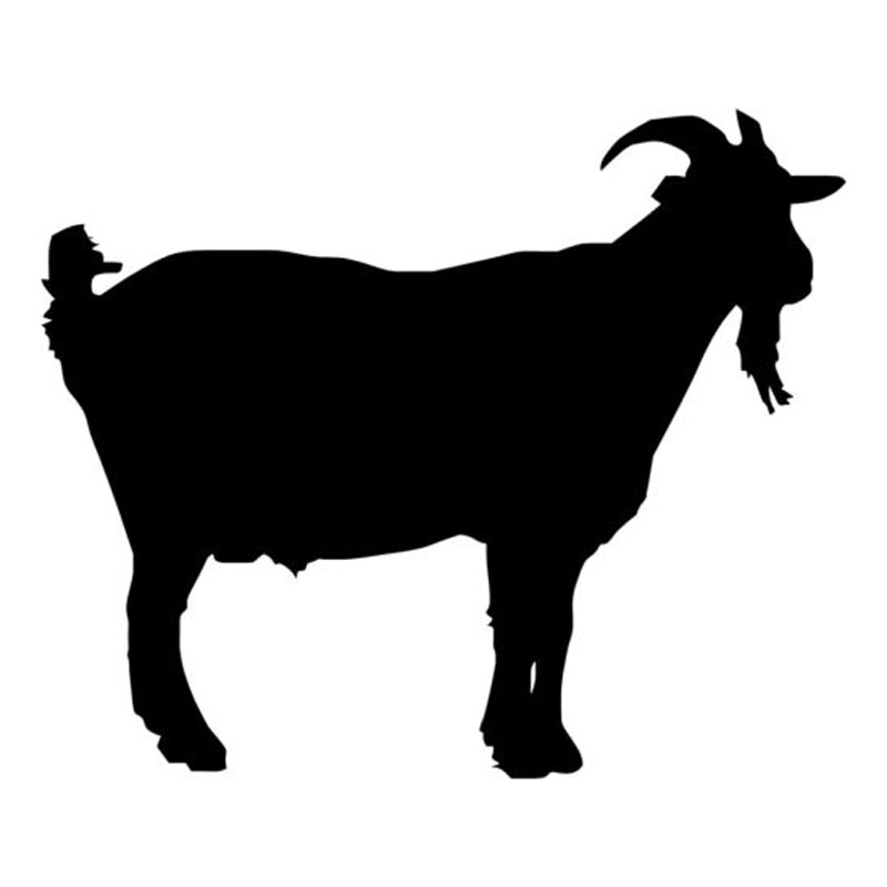 800x800 Buy Goat Decals And Get Free Shipping