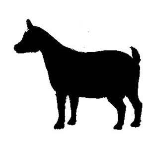 300x300 Goat Clipart Silhouette