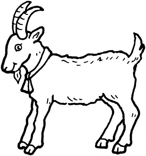 493x525 Graphics For Goat Outline Graphics