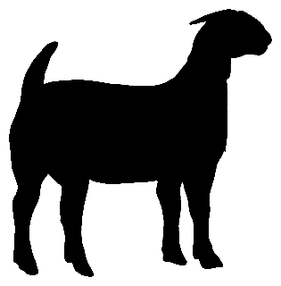 Boer Goat Outline | Free download on ClipArtMag