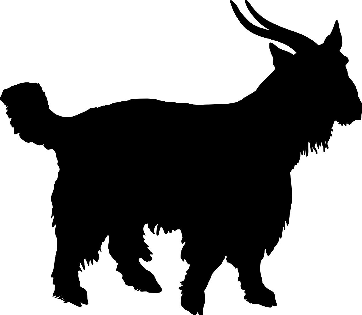1259x1097 Czeshop Images Boer Goat Vector