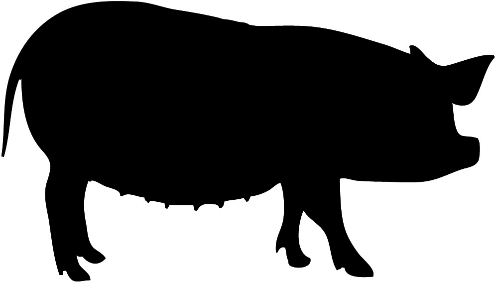 1000x568 Pig Silhouette Clipart Panda