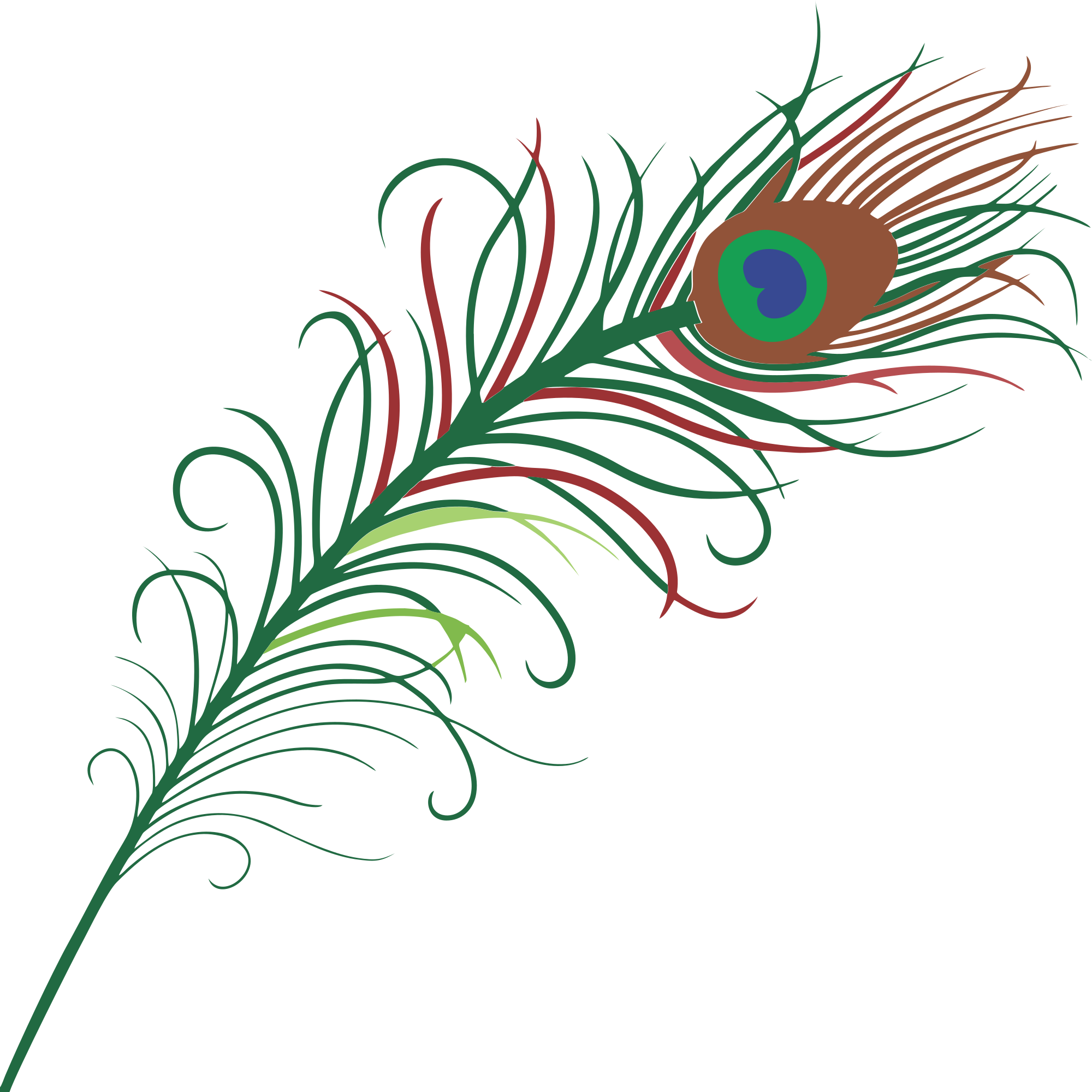 2000x2000 Clipart Feather