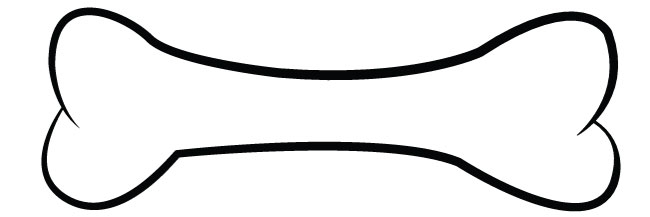 650x217 List Of Synonyms And Antonyms Of The Word Bone